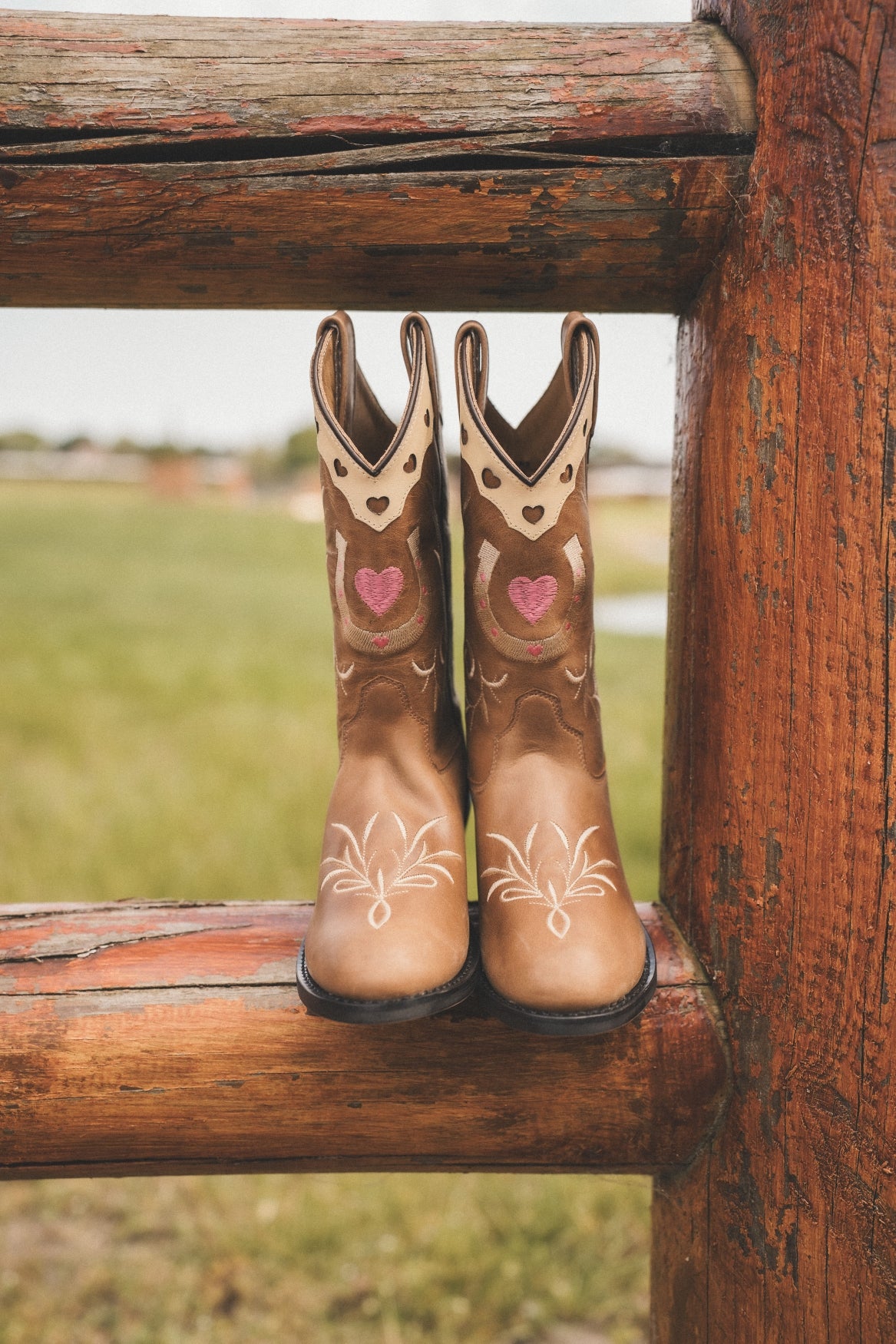 Ranchdreamc Junior